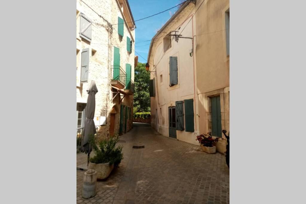 Character Filled House Overlooking The River Cesse Bize-Minervois Εξωτερικό φωτογραφία